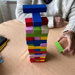 10 Programa Participación ciudadana - COTLAS