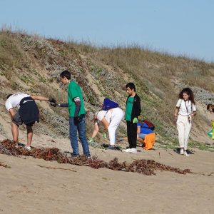6 Programa Participación ciudadana - COTLAS