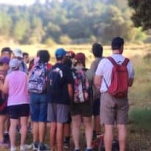 8 Programa Discapacidad - COTLAS