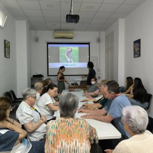 mayores10